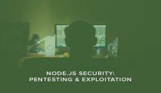 Node.js Security: Pentesting and Exploitation