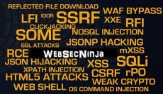 WebSecNinja: Lesser Known WebAttacks