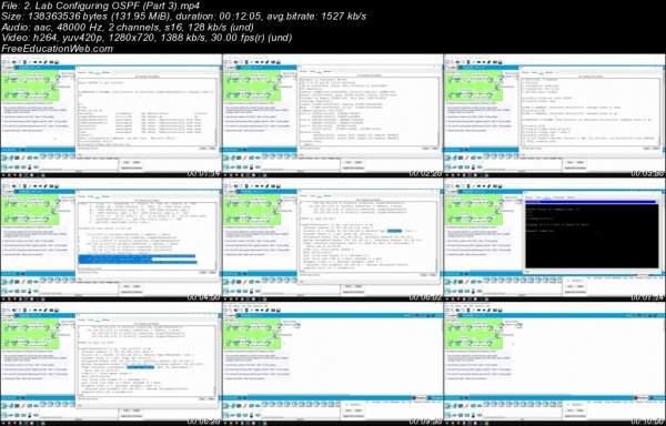 2. Lab Configuring OSPF Part 3