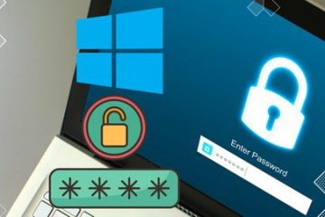 Recover, Bypass and Crack Windows Passwords like a pro