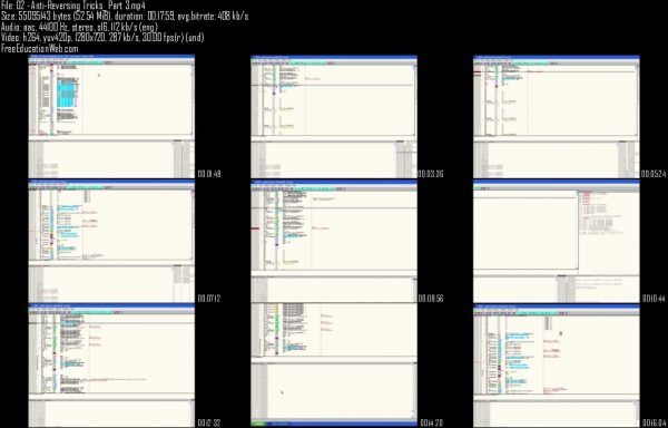 Reverse Engineering Professional - Image 2