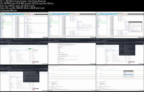 Advanced Malware Reverse Engineering - Image 2