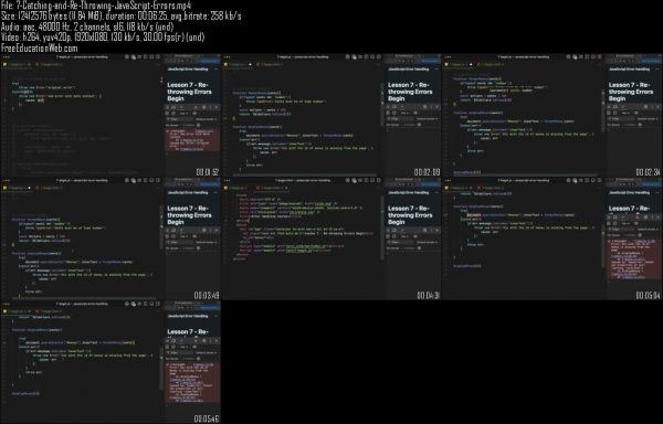 VueSchool - JavaScript Error Handling - Image 2