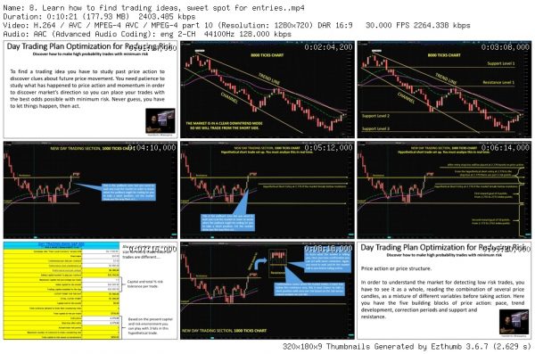 Day Trading and Swing Trading Futures with Price Action - Image 2