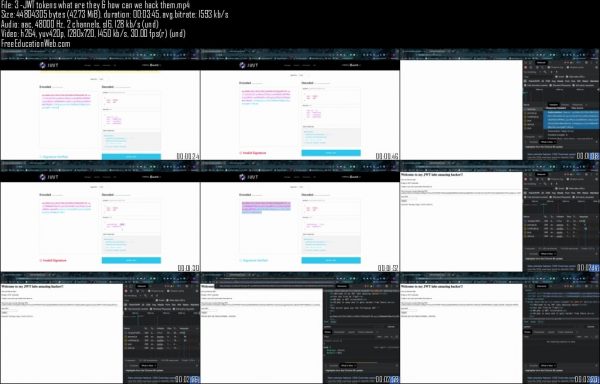 Introduction To Bug Bounties - Main Web App Hacking - Image 2