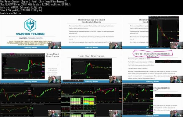 Warrior Pro: A Comprehensive Trading Education Program for Traders at Any Level - Image 2