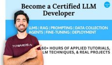 From Beginner to Advanced LLM Developer