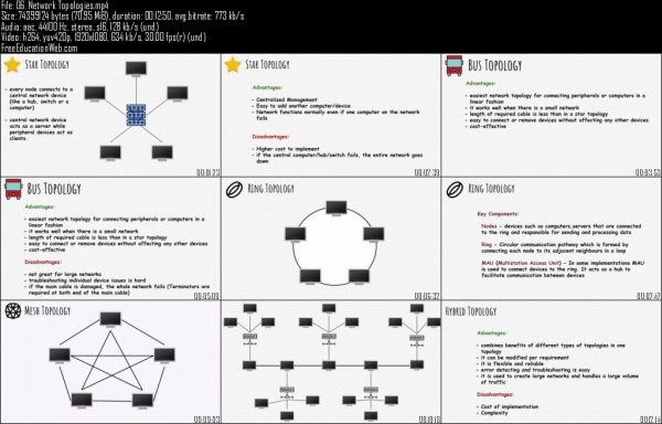 ZerotoMastery - The Networking Bootcamp (CompTIA Network+ Certification) - Image 2