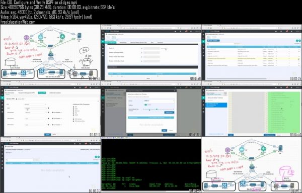Cisco CCNP Implementing Cisco SD-WAN Solutions (300-415 ENSDWI) - Image 2