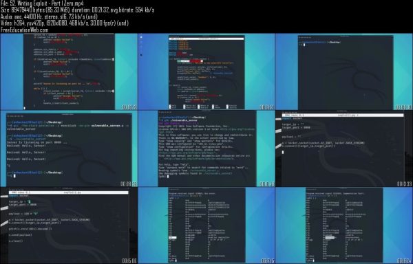 Advanced Ethical Hacking Bootcamp: Network Hacking & Security - Image 2