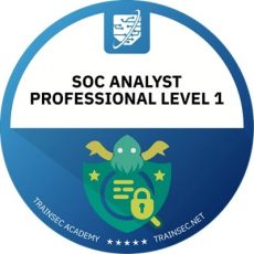 SOC Analyst Professional – Foundations