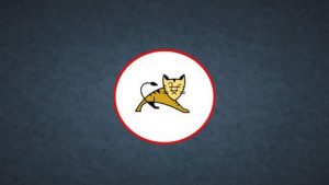 Mastering Apache Tomcat: From Basics to Advanced