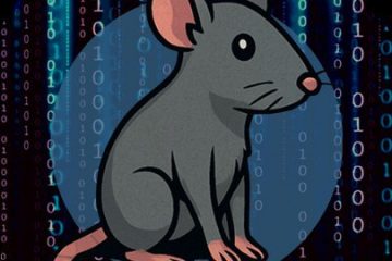 CAPIE - Certified API Hacking Expert Course Content