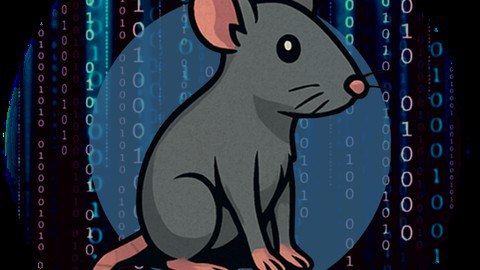 CAPIE - Certified API Hacking Expert Course Content
