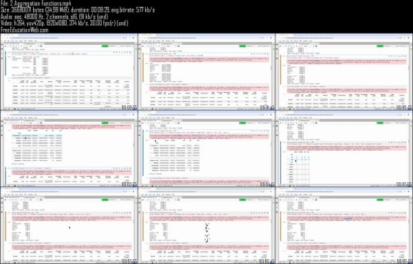 Certified Entry-Level Data Analyst with Python (PCED) - Image 2