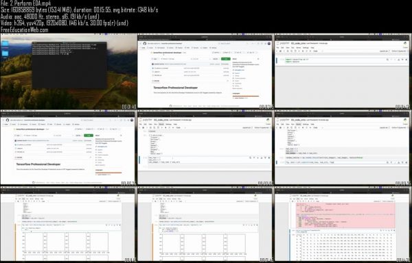 Professional TensorFlow Developer - Image 2