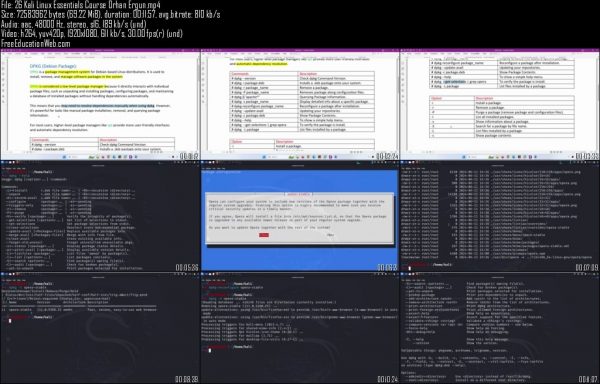 Kali Linux Essentials Course - Image 2