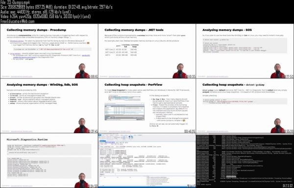 .NET MEMORY EXPERT - Image 2