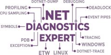 .NET Diagnostics Expert